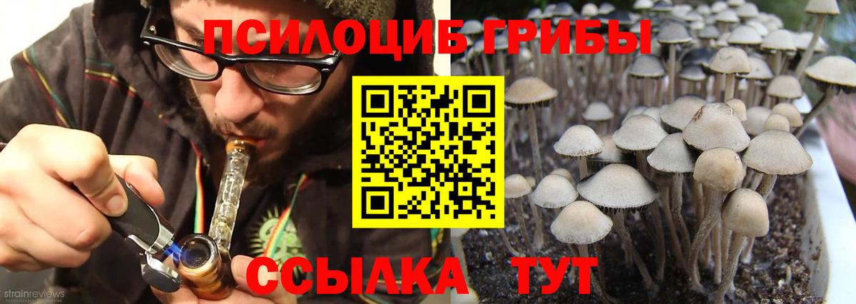 Псилоцибиновые грибы MAGIC MUSHROOMS Нурлат