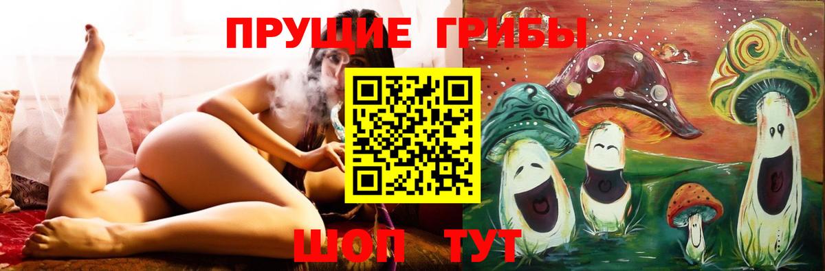 где продают наркотики  Псилоцибиновые грибы мицелий  Псилоцибиновые грибы мухоморы  Вход с VPN  Нурлат 